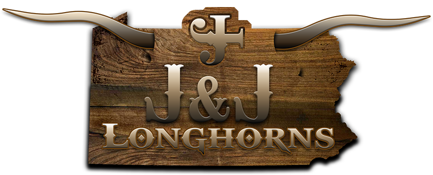J&J Longhorns logo
